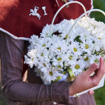 Цветы в сумочке (цветы хризантем в сумочке)
